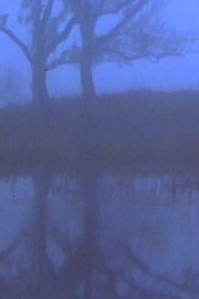 Winter Light