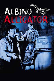 Albino Alligator poster