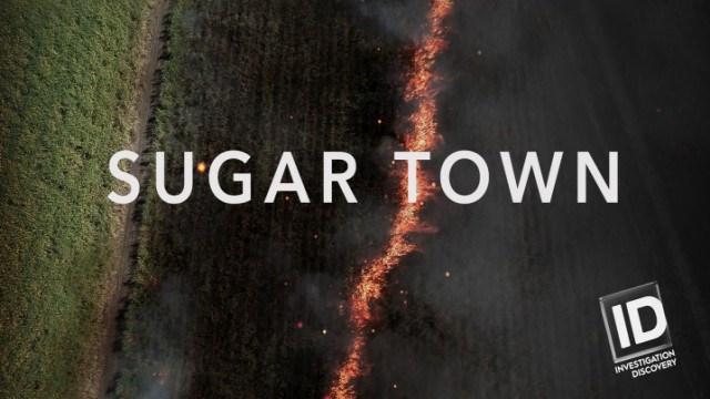 Watch Sugar Town Online