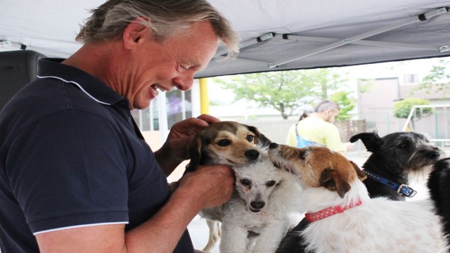 Watch Martin Clunes: A Man and His Dogs Online