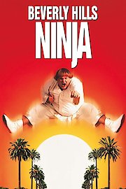 Beverly Hills Ninja poster