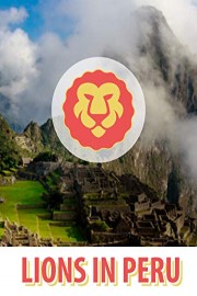 Lions In Peru poster