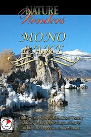 Nature Wonders - Mono Lake - California - U.S.A.