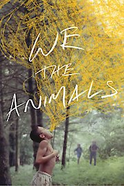 We the Animals poster