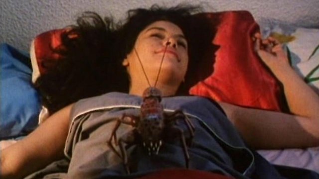 Watch Bugged! Online