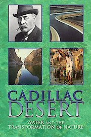 Cadillac Desert poster