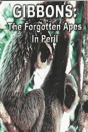 Gibbons: The Forgotten Apes in Peril