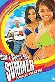How I Spent My Summer Vacation poster