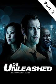 Q8 Unleashed 2