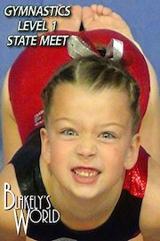 Gymnastics Level 1 State Meet poster
