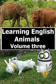 Learning English Animals Volume 3
