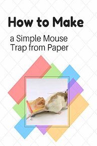 How to Make a Simple Mouse Trap from Paper