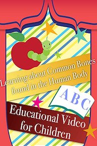 Learning about Common Bones found in the Human Body Educational Video for Children