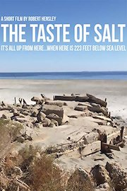 The Taste of Salt poster