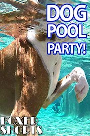 Dog Pool Party poster