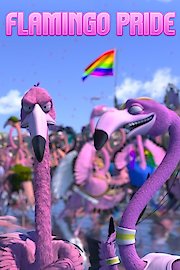 Flamingo Pride poster