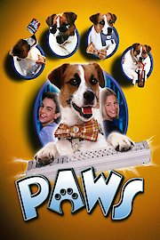 Paws poster