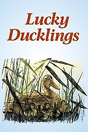 Lucky Ducklings poster
