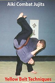 Aiki Combat Yellow Belt Techniques
