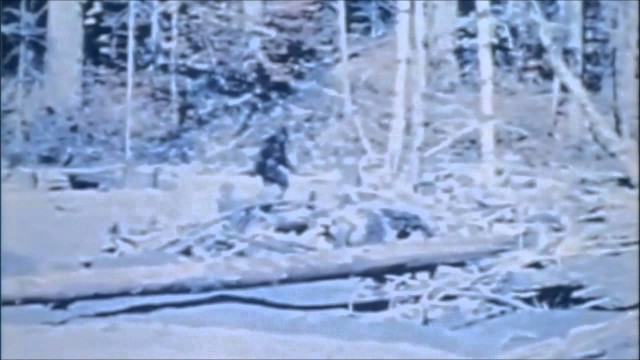 Watch SASQUATCH Online
