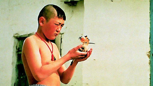 Watch Beshkempir Online