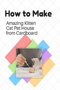 How to make Amazing Kitten Cat Pet House from Cardboard