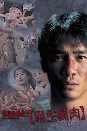 Chinese Midnight Express poster