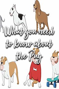 What you need to know about the Pug