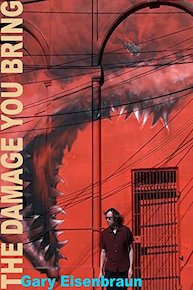 The Damage You Bring