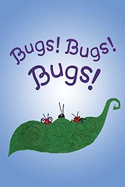 Bugs! Bugs! Bugs!