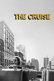 The Cruise poster