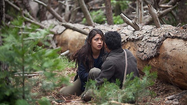 Watch What Still Remains Online