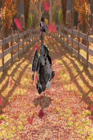 The Gobbler