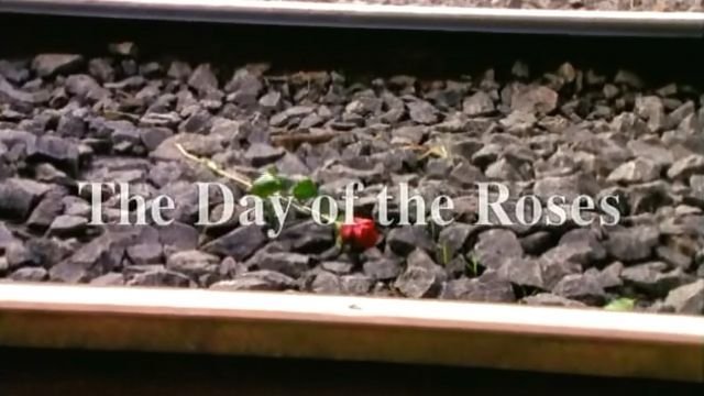Watch The Day of the Roses Online