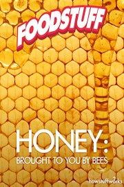 Honey: Brought to You by Bees poster