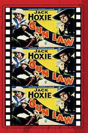 Gun Law poster