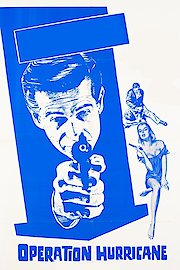 The Violin Case Murders poster