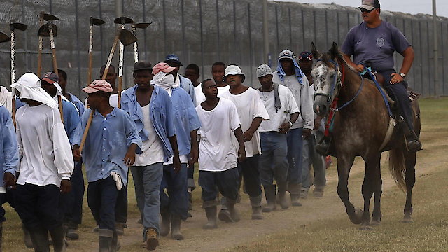 Watch The Farm: Angola, USA Online