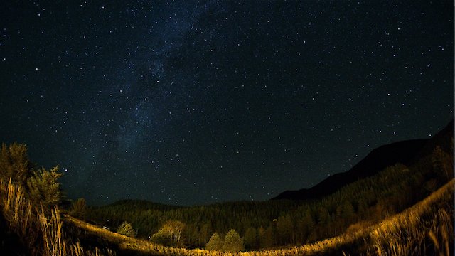 Watch Ambassadors of the Sky Online