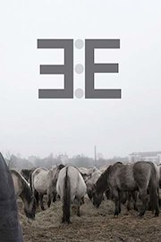 Guardian of Horses