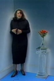 The Electronic Diaries