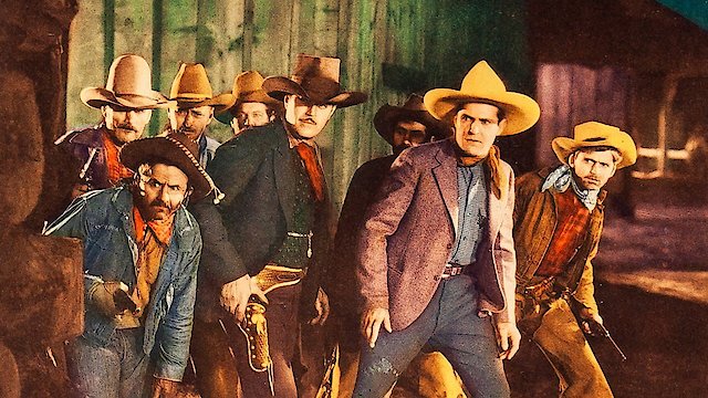 Watch Texas Gunfighter Online