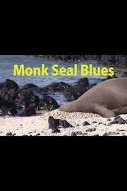 Foca de Monje