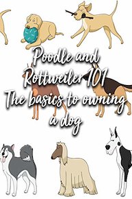 Poodle and Rottweiler 101 The basics to owning a dog