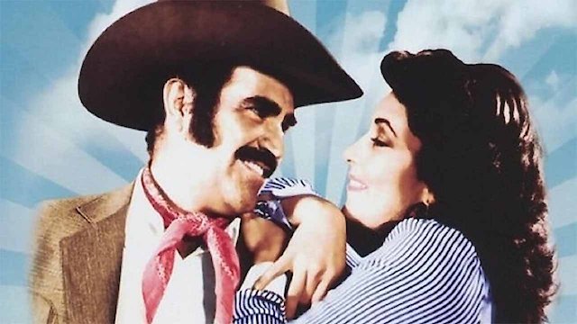 Watch Sinvergüenza Pero Honrado Online