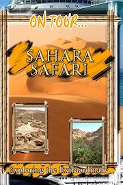 Sahara Safari