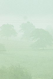Fog Line poster