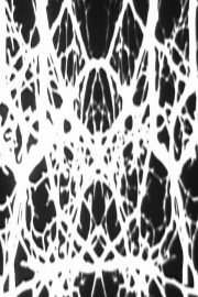 Black and White Trypps #2 poster