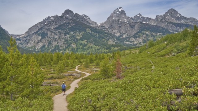 Watch Jackson Hole, Grand Teton and Yellowstone National Parks Online