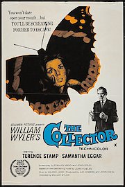 The Collector poster